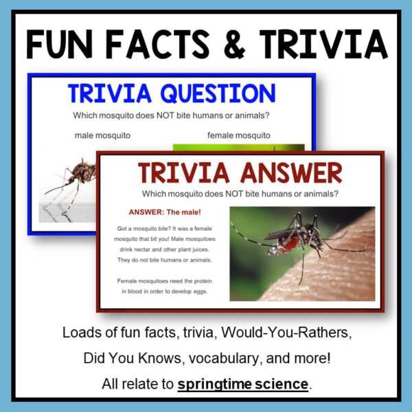 Trivia question and answer slides with text: Loads of fun facts, trivia, Would You Rathers, Did You Knows, vocabulary, and more!