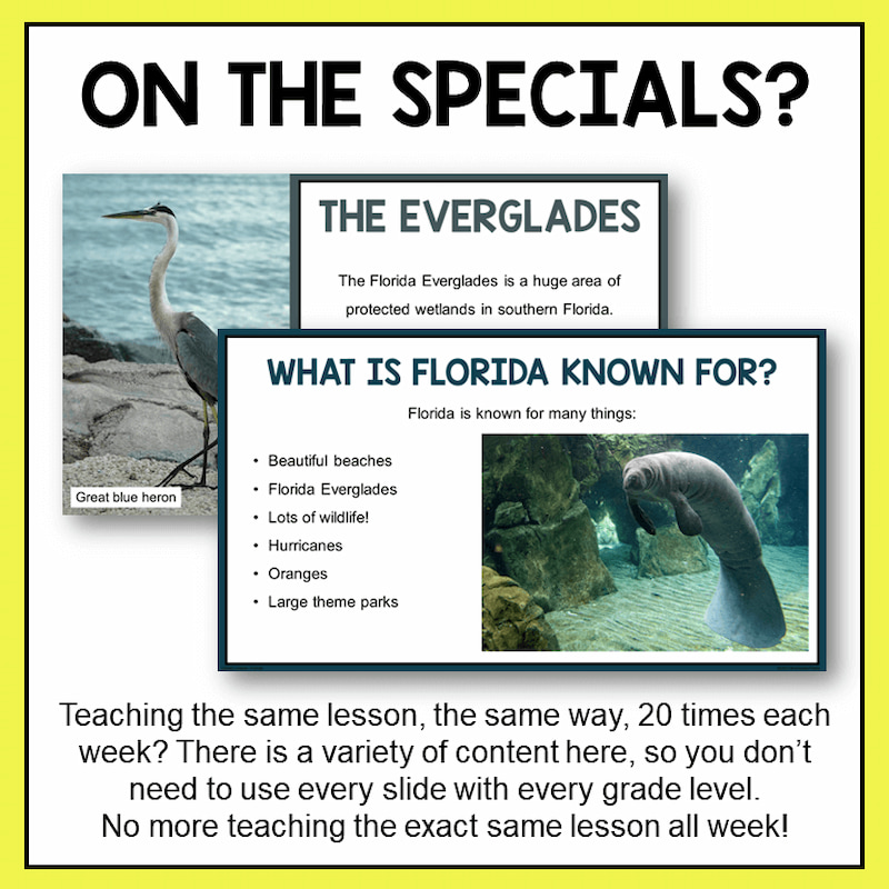 On the Specials with two slide screenshots. There is a variety of content here, so you don't need to use every slide with every grade level.