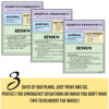 Grades 1 & 2 library sub plans for 3 days with text: Just print and go; Perfect for emergency situations or when you don't have time to reinvent the wheel!