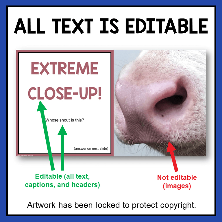 Extreme close-up photo slide with text, All Text is Editable.