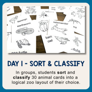 Printable cards on a wooden table with text: Day 1 - In groups, students sort and classify 30 animal cards into a logical zoo layout of their choice.