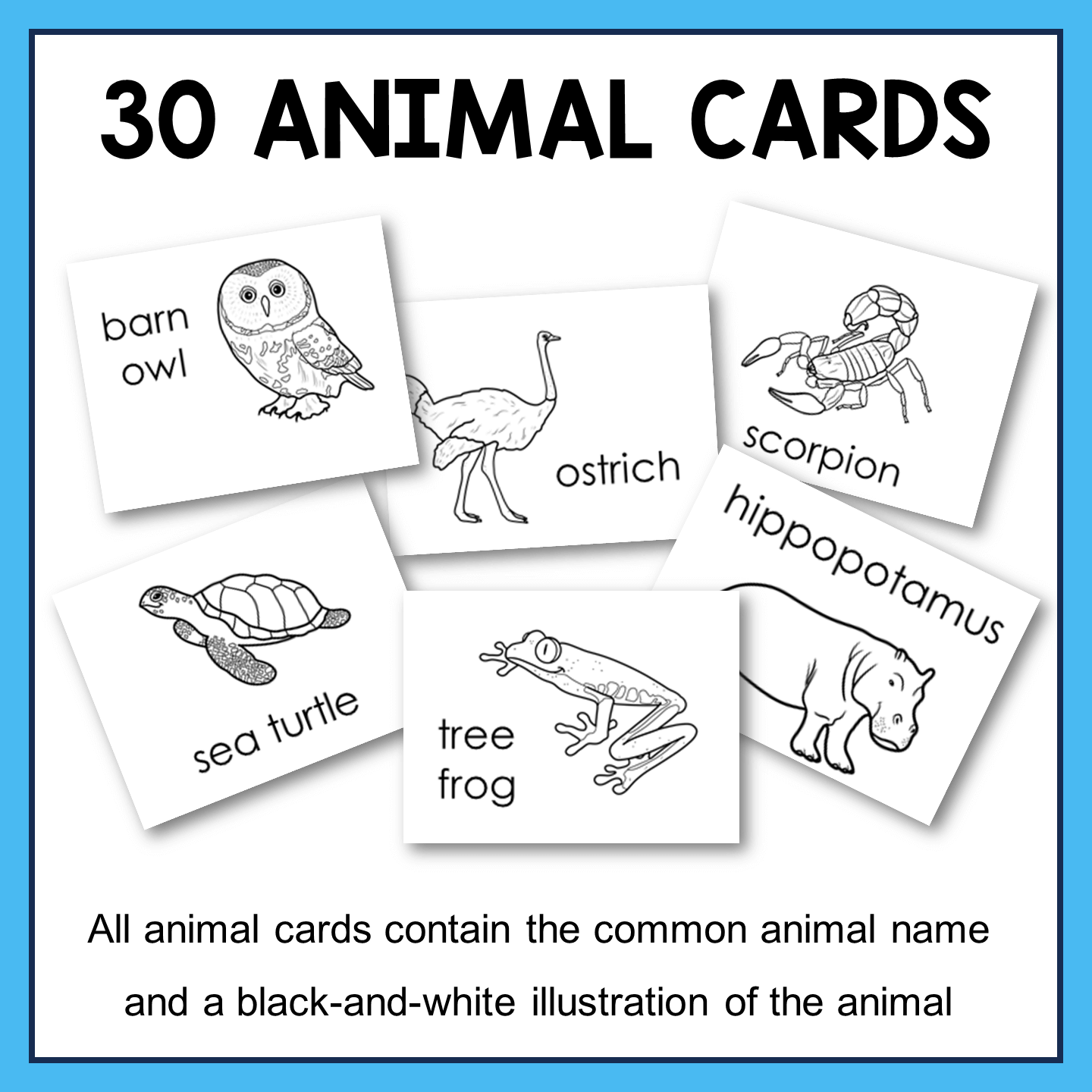 Dewey Decimal System Lessons & Design a Zoo Activity | Librarians Teach for Free Printable Dewey Decimal Practice Worksheets